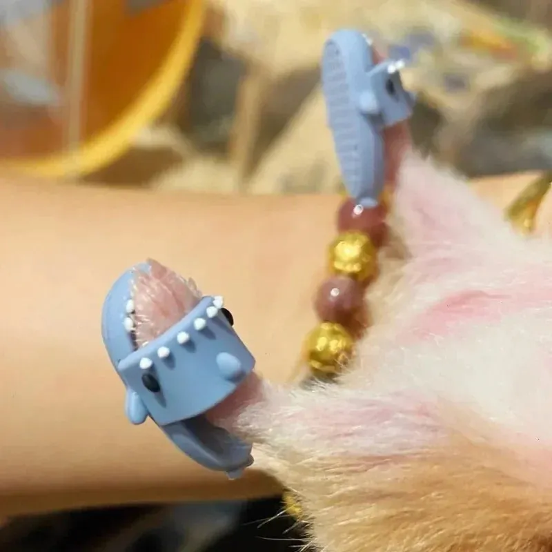 Hamster Shoes Golden Bear Slippers Cute Shark Cosplay Suit Small Pet Clothing Costume Guinea Pigs Assessories Pet Decoration