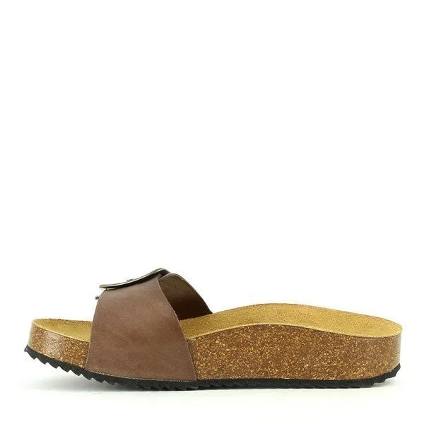 Plakton 341018 Light Brown Slides