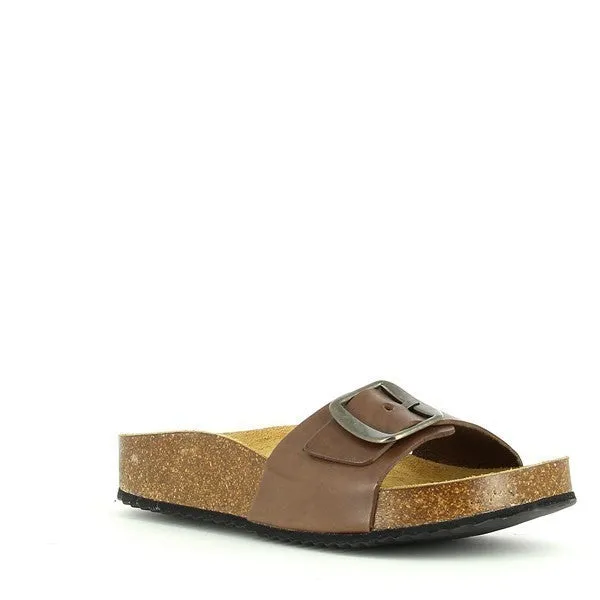 Plakton 341018 Light Brown Slides