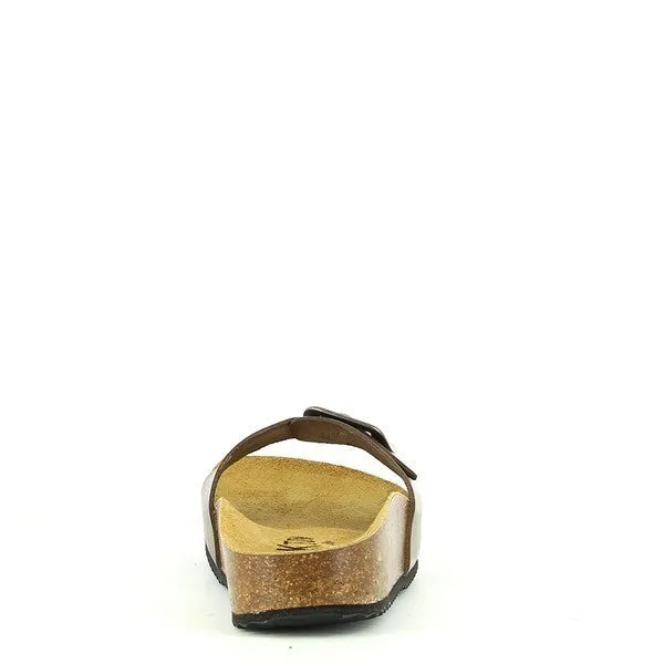 Plakton 341018 Light Brown Slides