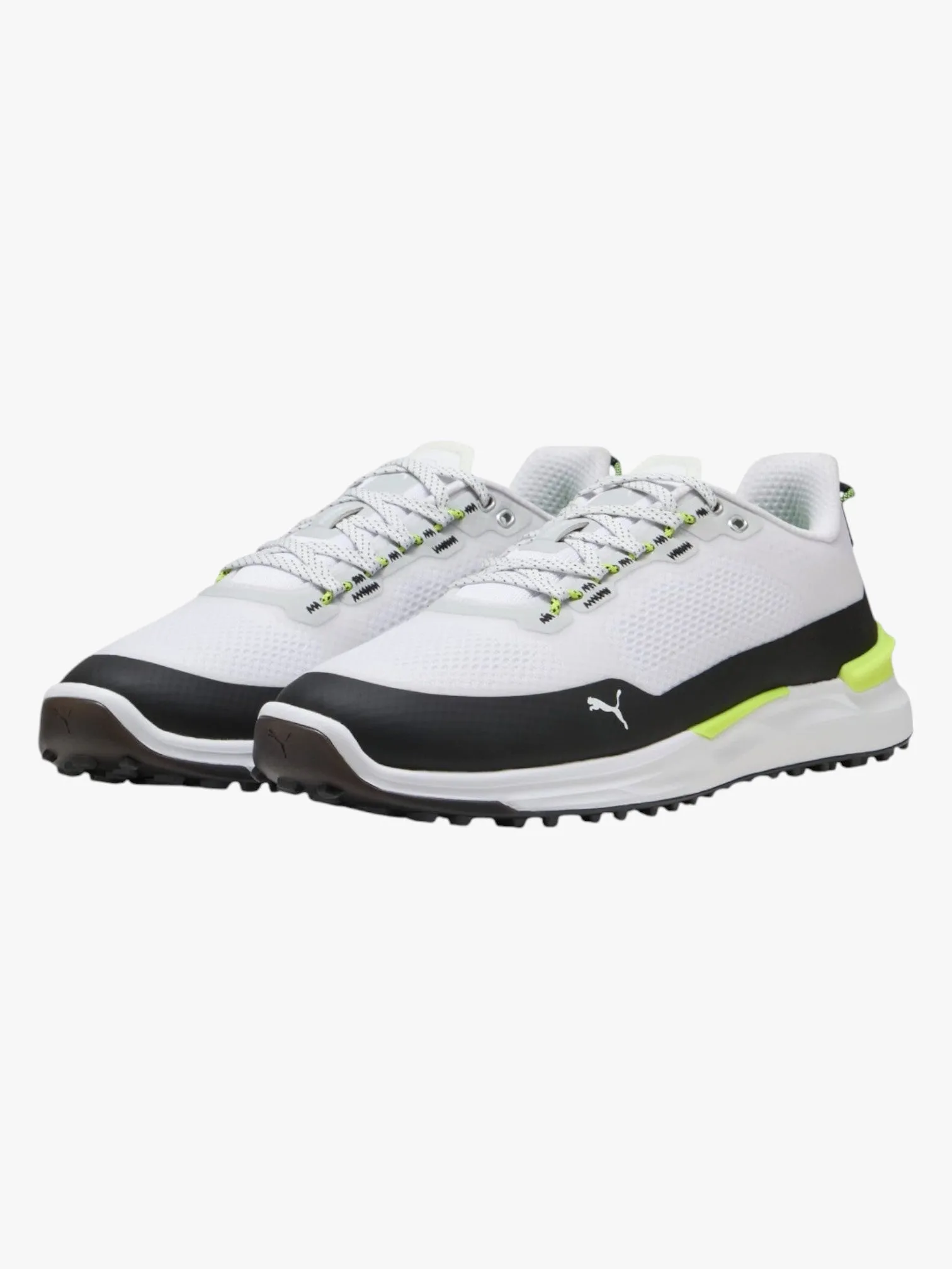Puma IGNITE Elevate Golf Shoes 310221