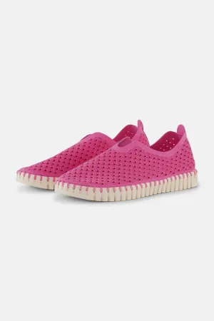 ROSE VIOLET TULIP SHOE