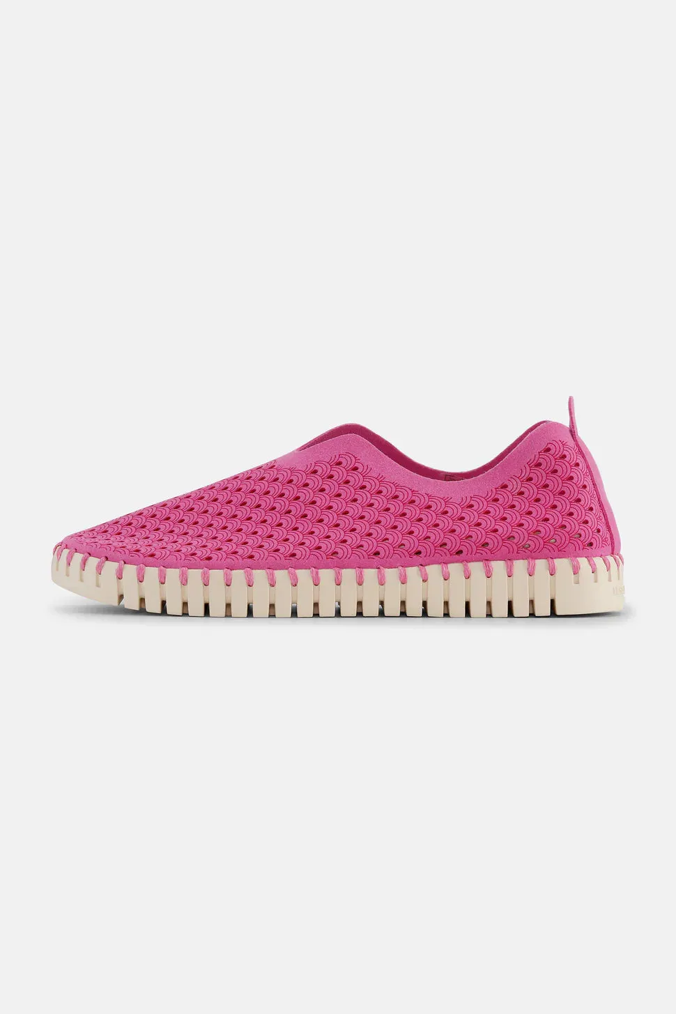 ROSE VIOLET TULIP SHOE